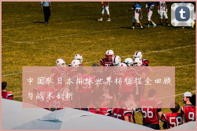 中国队日本排球世界杯征程全回顾与战术剖析