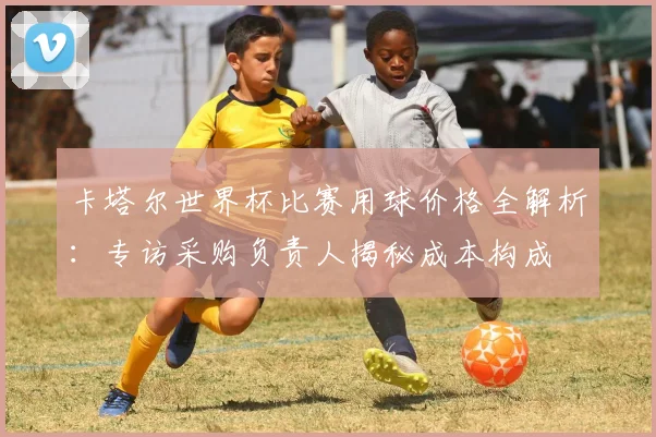 卡塔尔世界杯比赛用球价格全解析：专访采购负责人揭秘成本构成